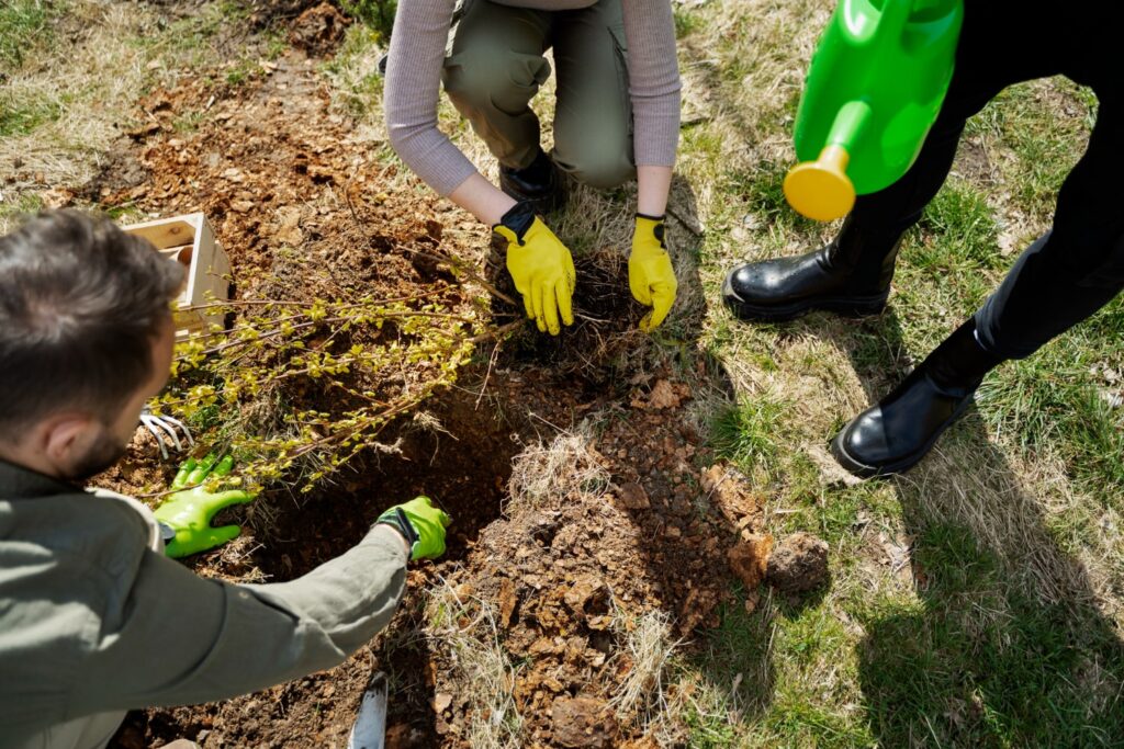 tramitación de proyectos forestales en Andalucía